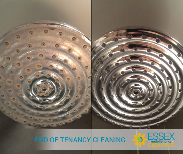 image of End of Tenancy Cleaning