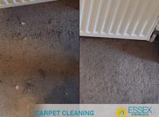 image of carpet cleaning essex